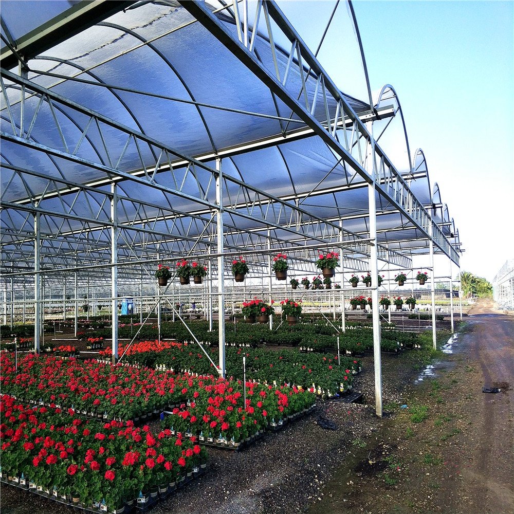Poly Tunnel Greenhouse