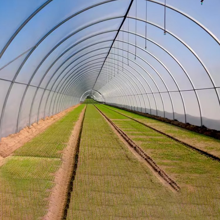 cheap plastic poly Double Layer high tunnel green house farm structure tomato vegetables growing agricultural greenhouse