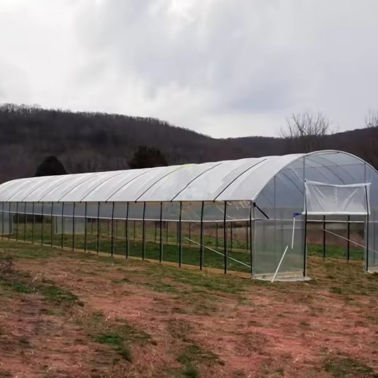 cheap plastic poly Double Layer high tunnel green house farm structure tomato vegetables growing agricultural greenhouse