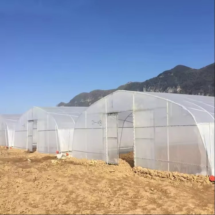 cheap plastic poly Double Layer high tunnel green house farm structure tomato vegetables growing agricultural greenhouse