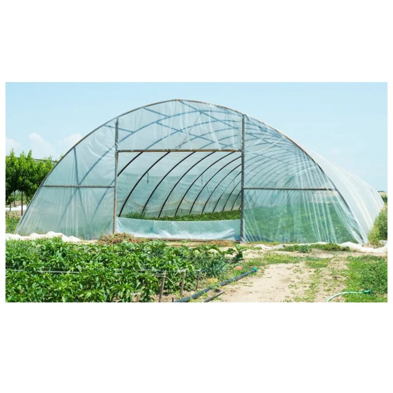 Low Cost Gable Front Greenhouse Kit with Hoops Tunnel Arch Pipes for Strawberry Rose Cultivation Agricultural Greenhouses