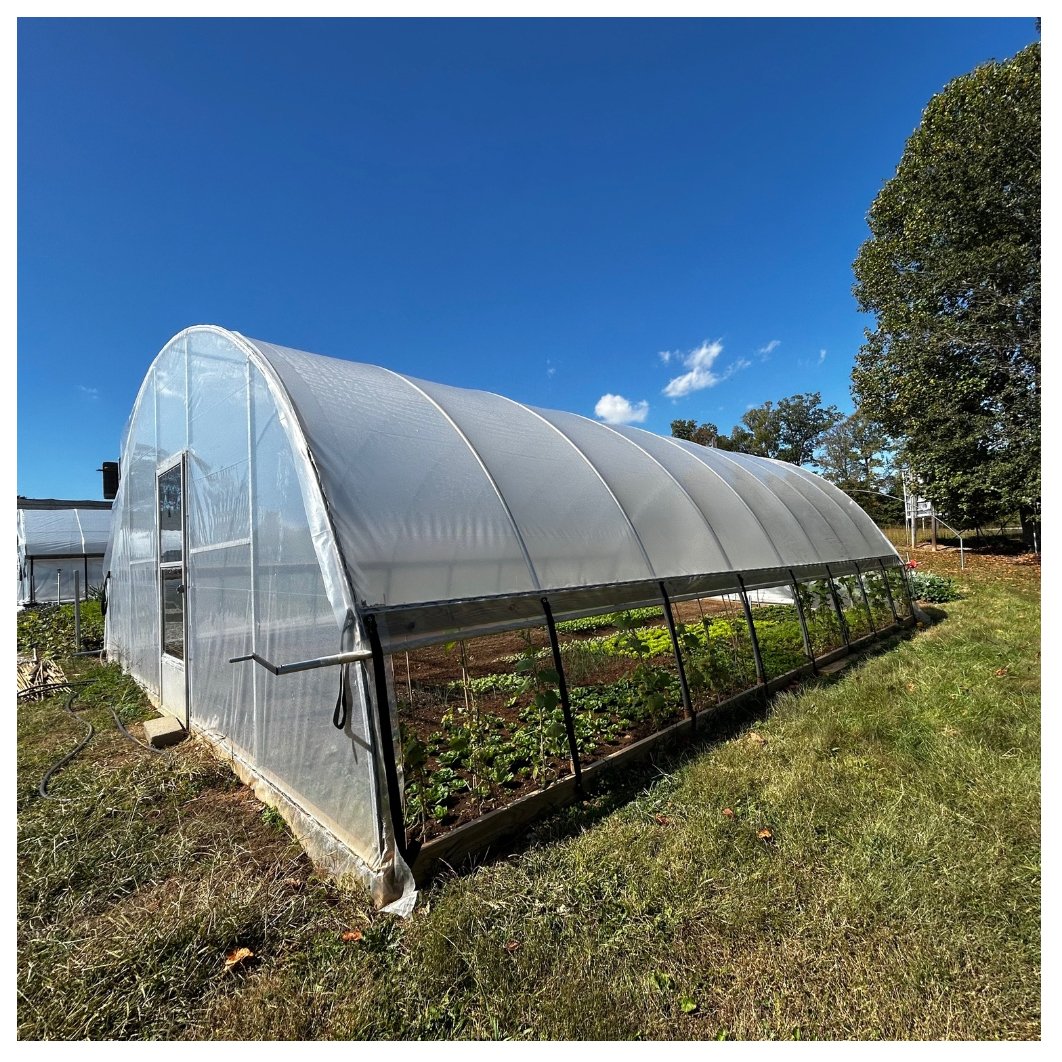 Low Cost Gable Front Greenhouse Kit with Hoops Tunnel Arch Pipes for Strawberry Rose Cultivation Agricultural Greenhouses