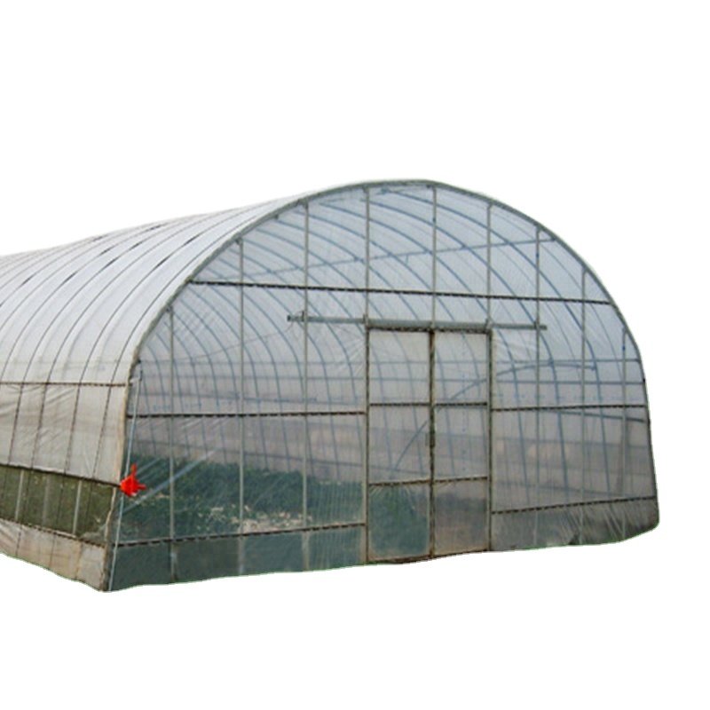 Mushroom house