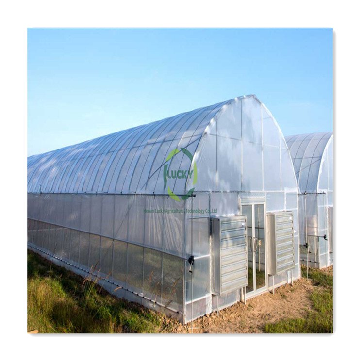 Customized Size Agricultural Metal Frame Automatic Digital Poly Tunnel Control Cooling System Single-Span Green House