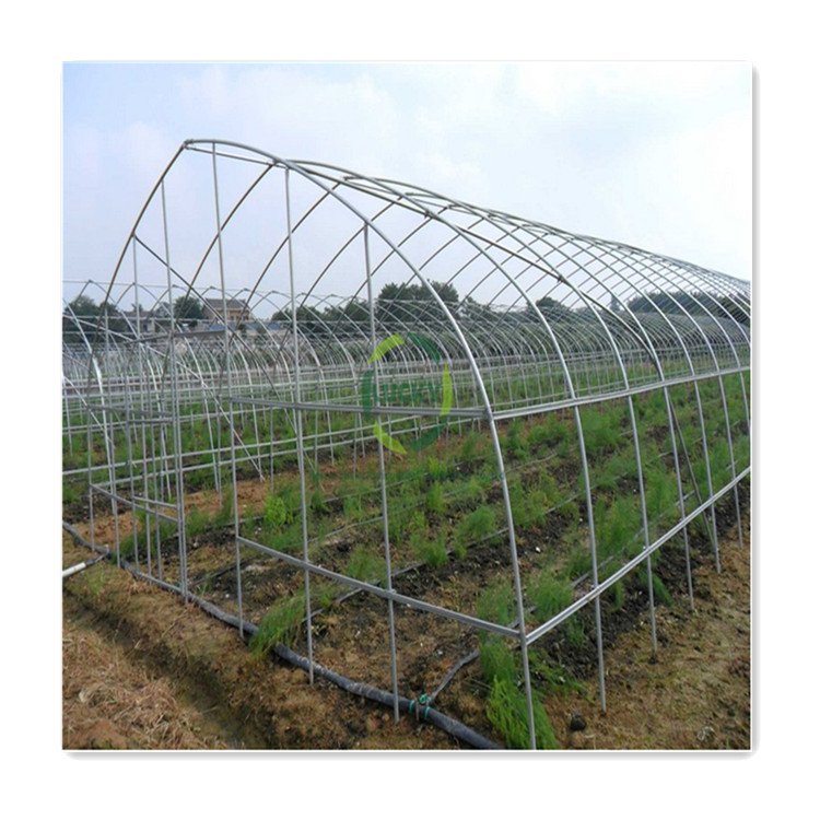 Customized Size Agricultural Metal Frame Automatic Digital Poly Tunnel Control Cooling System Single-Span Green House