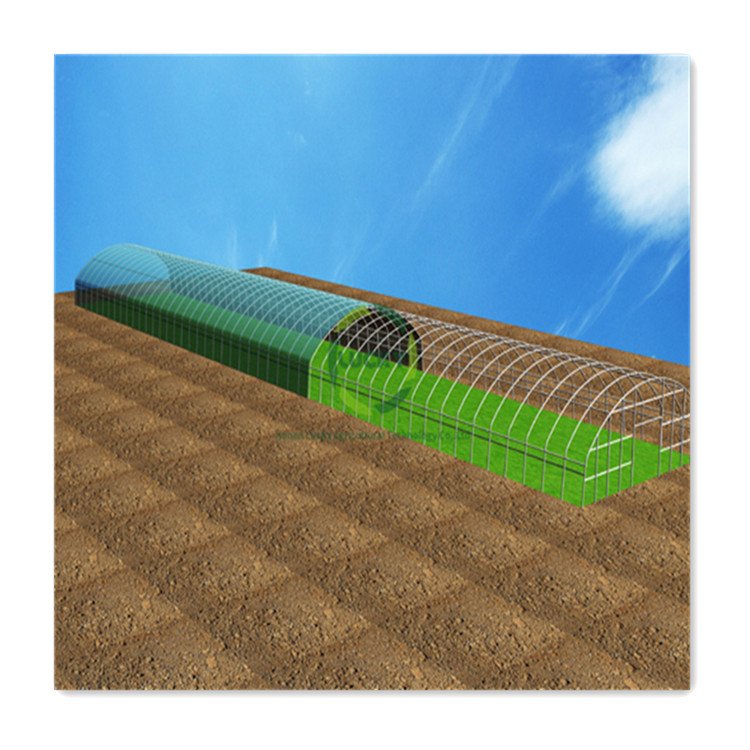 Customized Size Agricultural Metal Frame Automatic Digital Poly Tunnel Control Cooling System Single-Span Green House