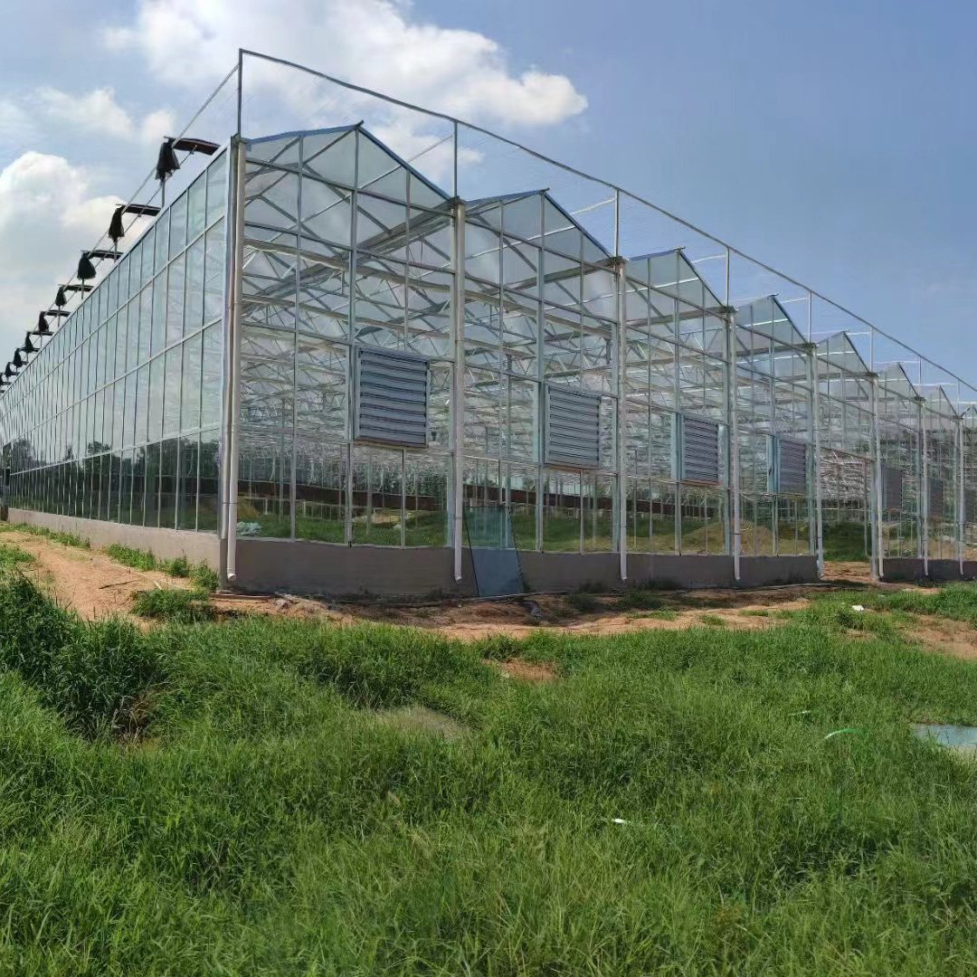 Customizable Multi-Span Plastic Film Greenhouse for Pepper/Tomato/Strawberry/ Cucumber/Eggpants Planting