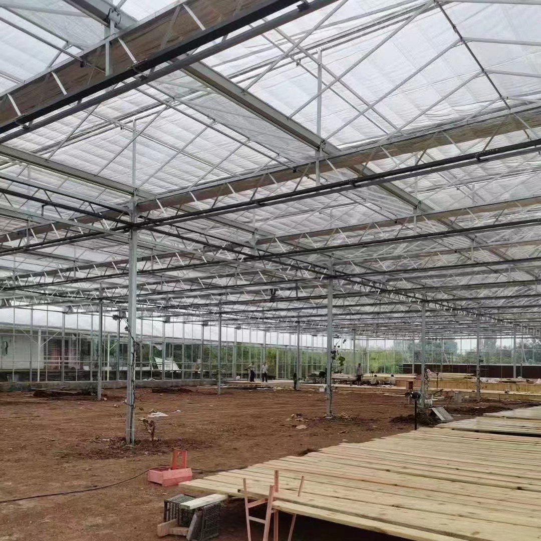 Customizable Multi-Span Plastic Film Greenhouse for Pepper/Tomato/Strawberry/ Cucumber/Eggpants Planting