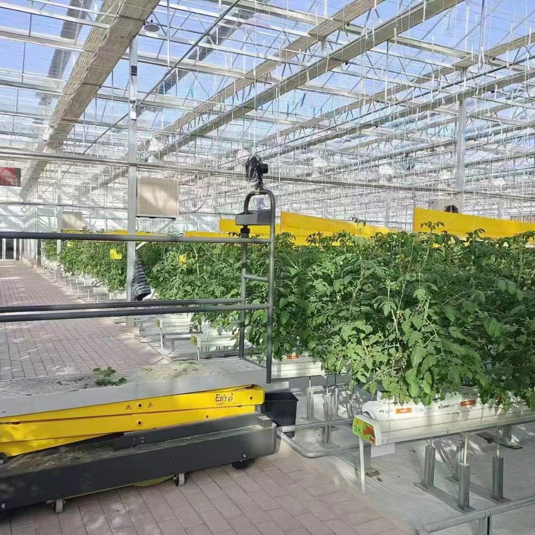 Customizable Multi-Span Plastic Film Greenhouse for Pepper/Tomato/Strawberry/ Cucumber/Eggpants Planting