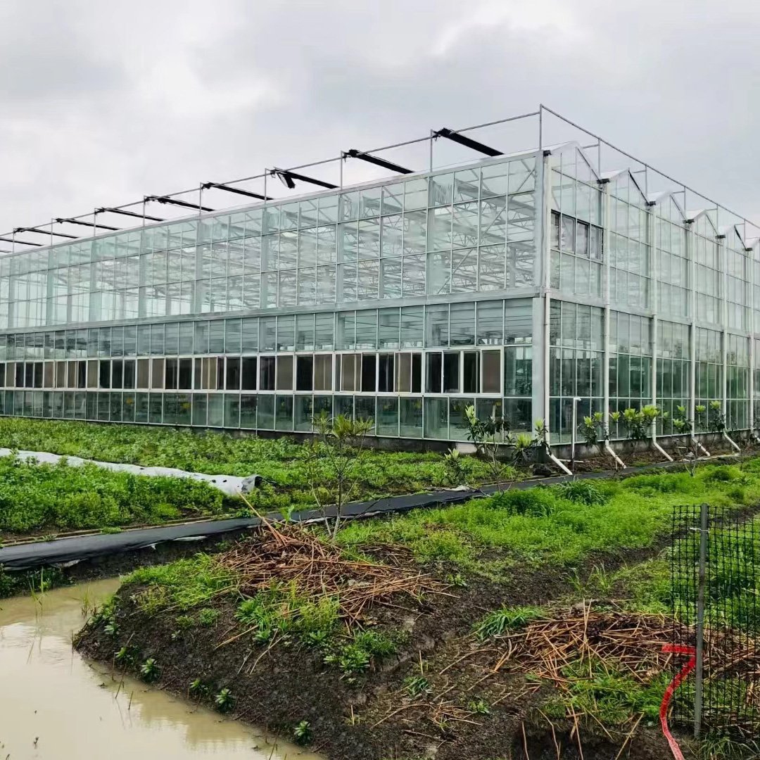 Customizable Multi-Span Plastic Film Greenhouse for Pepper/Tomato/Strawberry/ Cucumber/Eggpants Planting