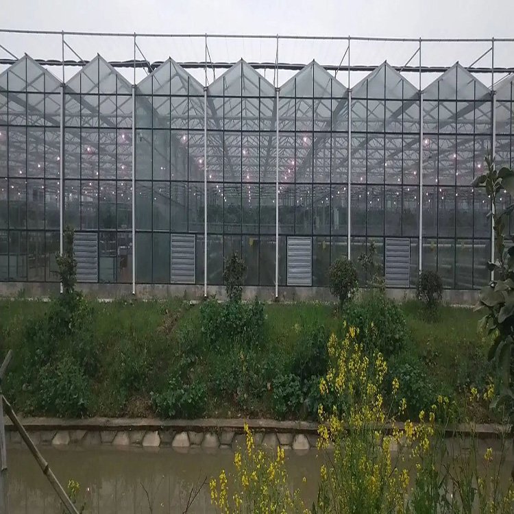 Large Multi-Span Hydroponic Greenhouse Modern Single Layer Agricultural Greenhouse Steel Film PE Plant Usage Low Cost Stable