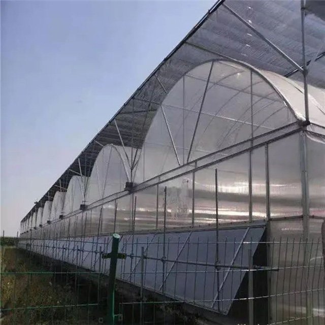 Large Multi-Span Hydroponic Greenhouse Modern Single Layer Agricultural Greenhouse Steel Film PE Plant Usage Low Cost Stable