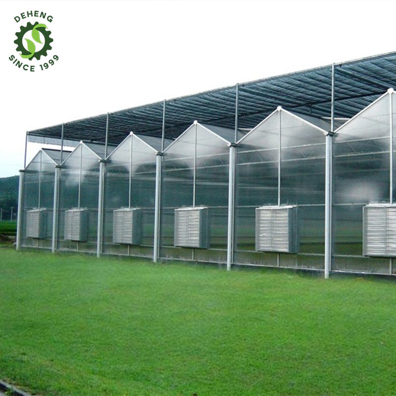 Factory Manufacture Various Green House Structure Agricultural Multi-Storey Solar Panel Greenhouse For Sale