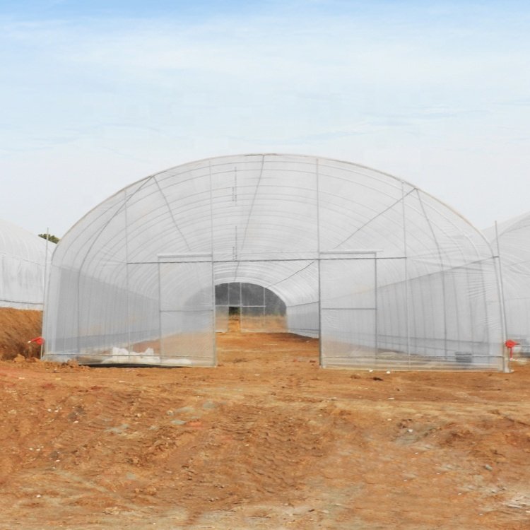 Baolida Greenhouse plastic sheet uv plastic 200 microns agricultural greenhouse for tropical climate