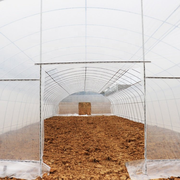 Baolida Greenhouse plastic sheet uv plastic 200 microns agricultural greenhouse for tropical climate