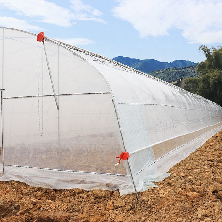 Baolida Greenhouse plastic sheet uv plastic 200 microns agricultural greenhouse for tropical climate