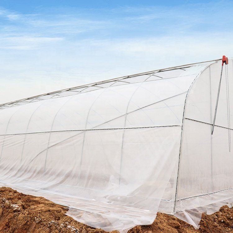 Baolida Greenhouse plastic sheet uv plastic 200 microns agricultural greenhouse for tropical climate