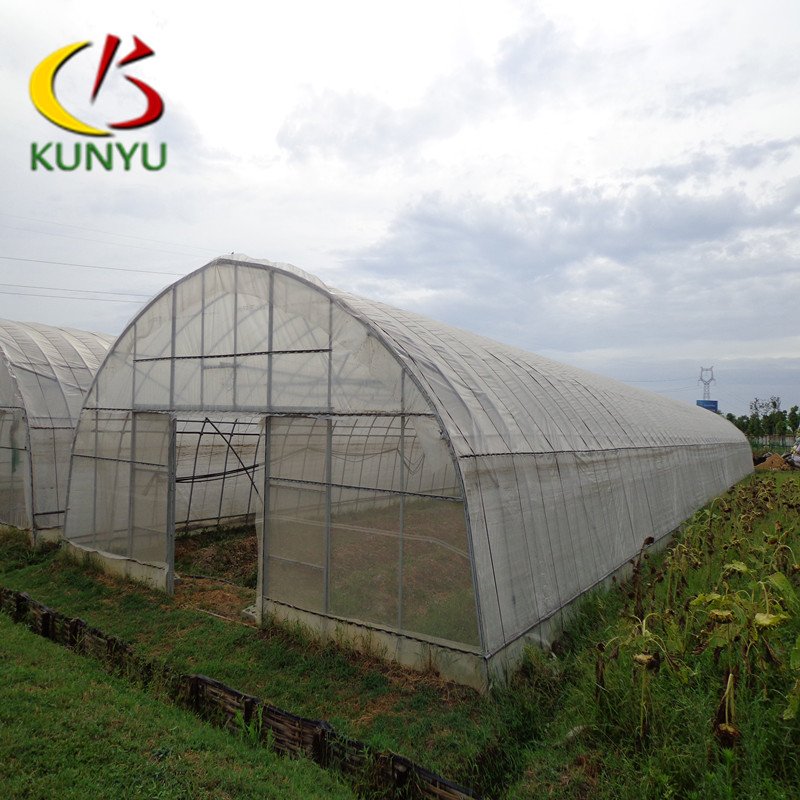 Foshan Kunyu Customized Size Single Span Vegetable Garden Greenhouse