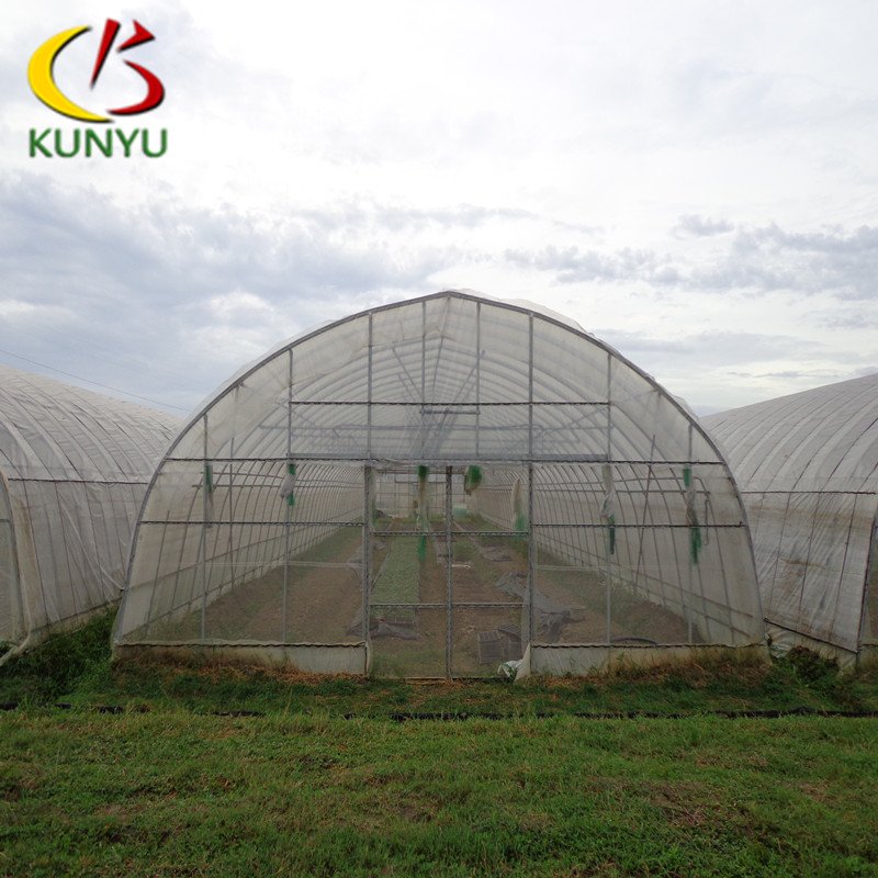 Foshan Kunyu Customized Size Single Span Vegetable Garden Greenhouse