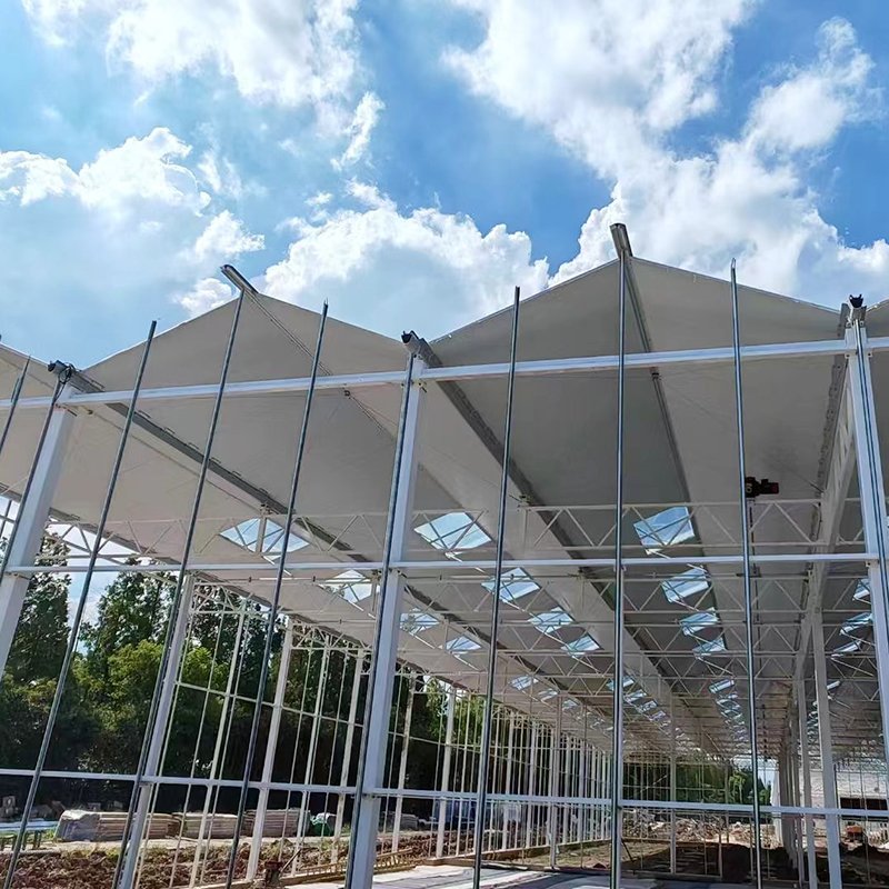 Factory Wholesale Glass Agriculture Greenhouse Easy Assembly for Growing Vegetables