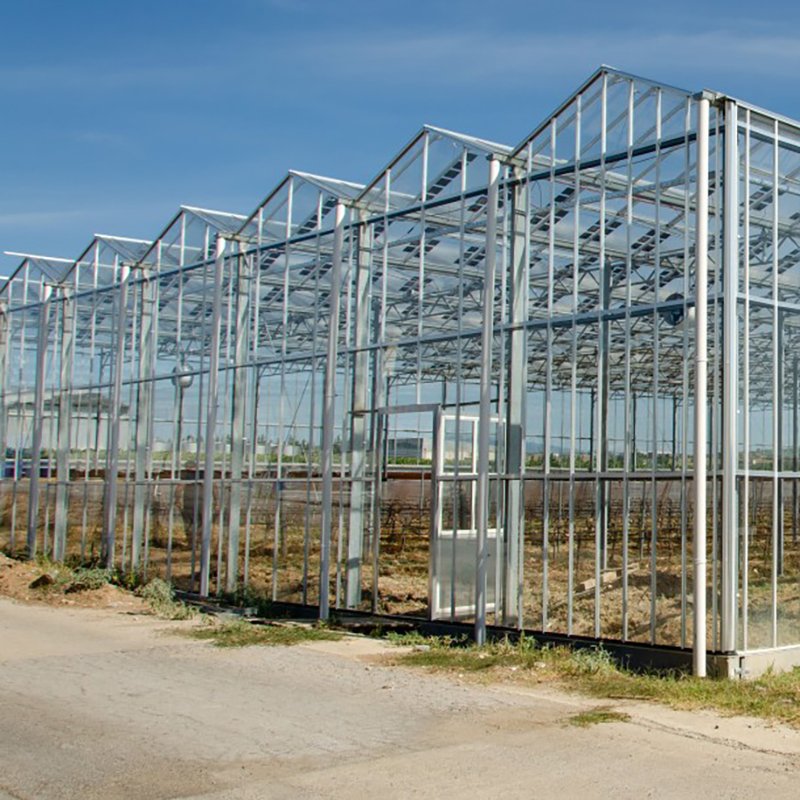 Factory Wholesale Glass Agriculture Greenhouse Easy Assembly for Growing Vegetables