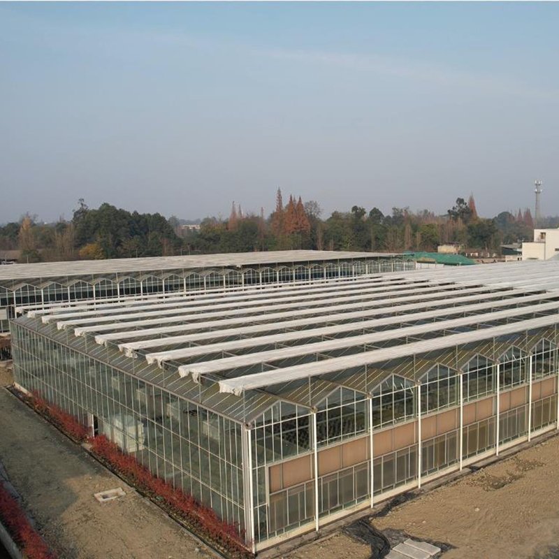 Factory Wholesale Glass Agriculture Greenhouse Easy Assembly for Growing Vegetables