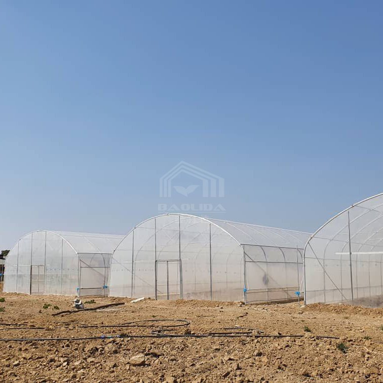 Invernadero planting hothouse plastic steel tunnel house frame agriculture greenhouse tunnel for vegetable