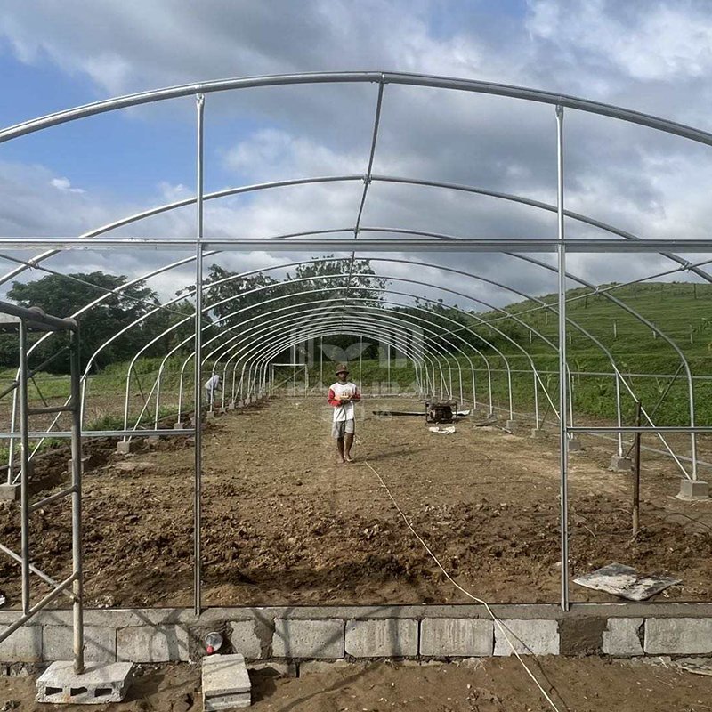 Invernadero planting hothouse plastic steel tunnel house frame agriculture greenhouse tunnel for vegetable