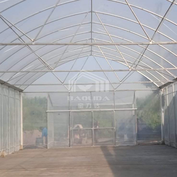 Invernadero planting hothouse plastic steel tunnel house frame agriculture greenhouse tunnel for vegetable