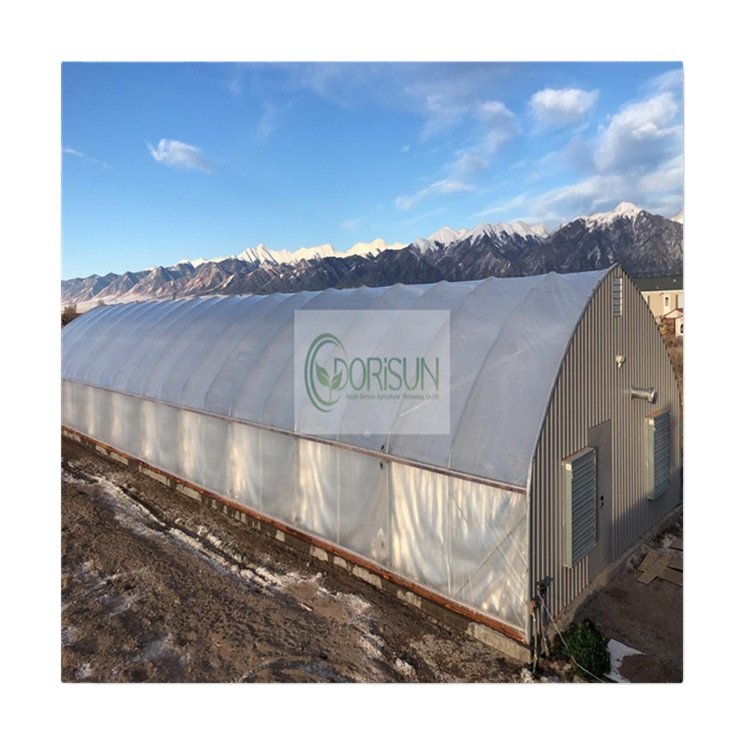 Splendid Climate Controlled Automatic Greenhouse Watering Systems Single Tunnel Light Deprivation Greenhouse