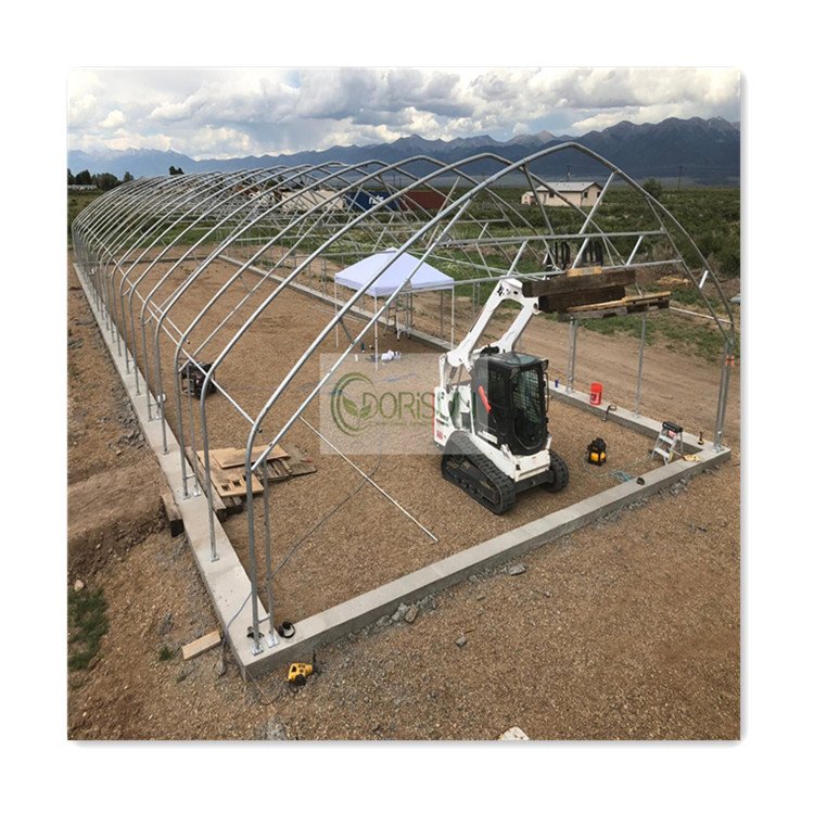 Splendid Climate Controlled Automatic Greenhouse Watering Systems Single Tunnel Light Deprivation Greenhouse