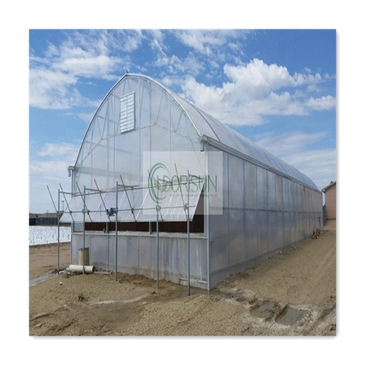 Splendid Climate Controlled Automatic Greenhouse Watering Systems Single Tunnel Light Deprivation Greenhouse