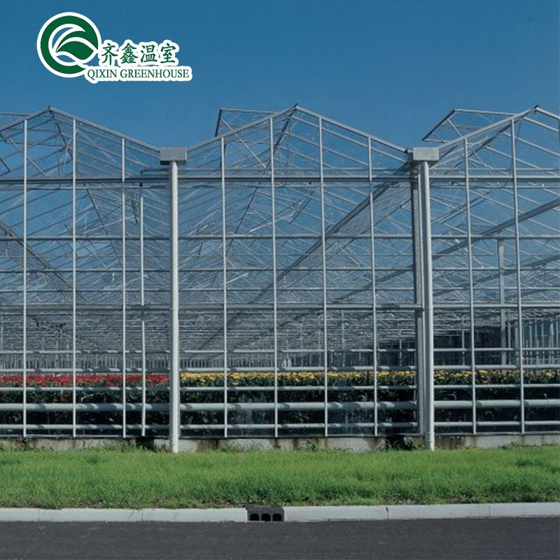 beautiful and cheap Venlo Glass Greenhouse/25 Years Quality Guarantee Galvanized Steel Structure For Glass Greenhouse