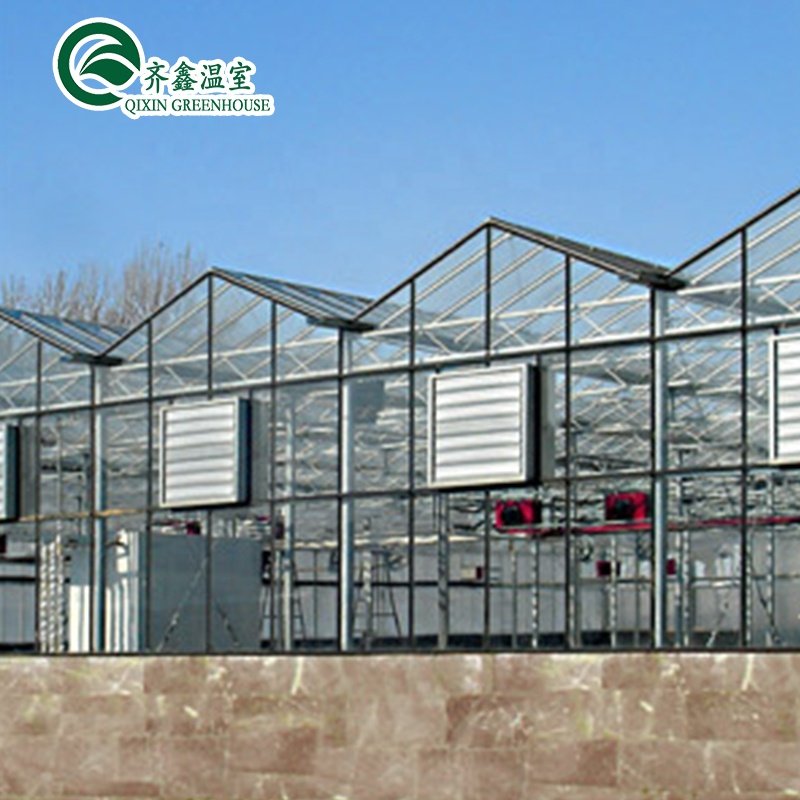 beautiful and cheap Venlo Glass Greenhouse/25 Years Quality Guarantee Galvanized Steel Structure For Glass Greenhouse