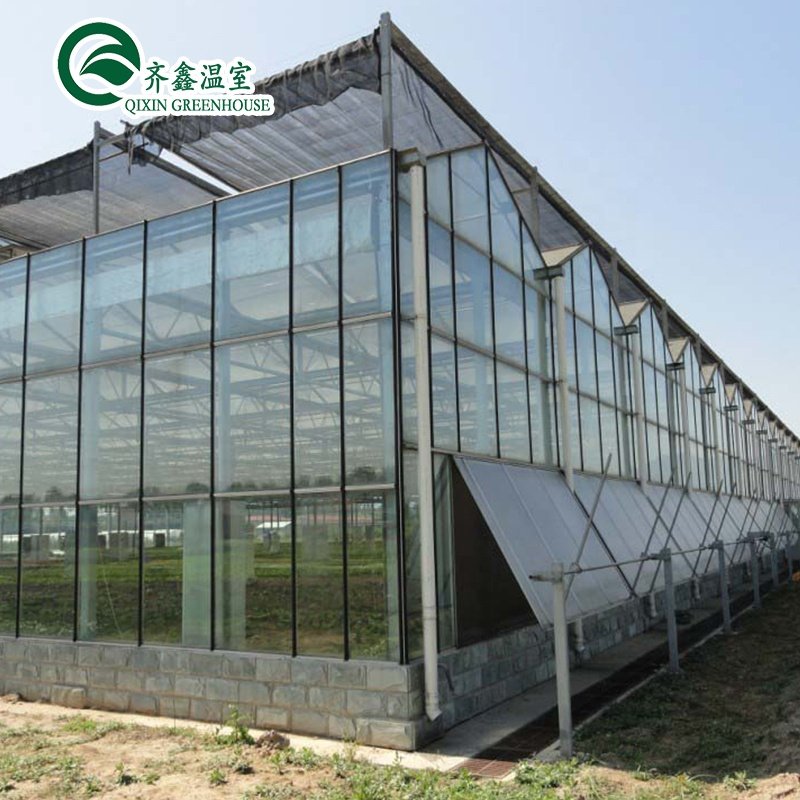 beautiful and cheap Venlo Glass Greenhouse/25 Years Quality Guarantee Galvanized Steel Structure For Glass Greenhouse