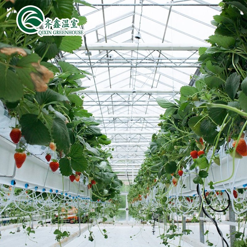 beautiful and cheap Venlo Glass Greenhouse/25 Years Quality Guarantee Galvanized Steel Structure For Glass Greenhouse