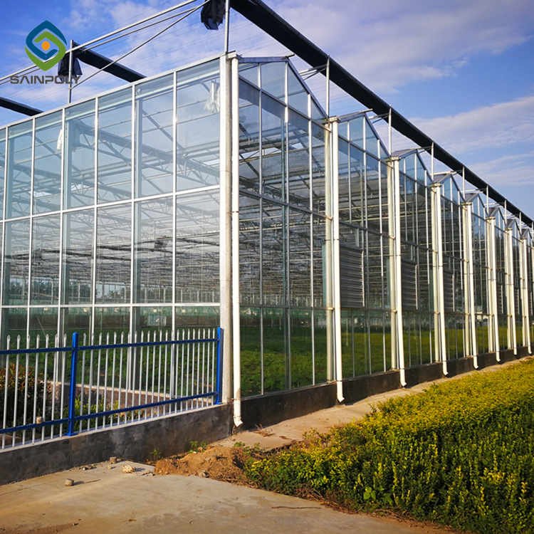 Sainpoly Large Size Glass Multi-Span Greenhouse High Quality Affordable Hot Selling China Wholesale Agricultural Greenhouses