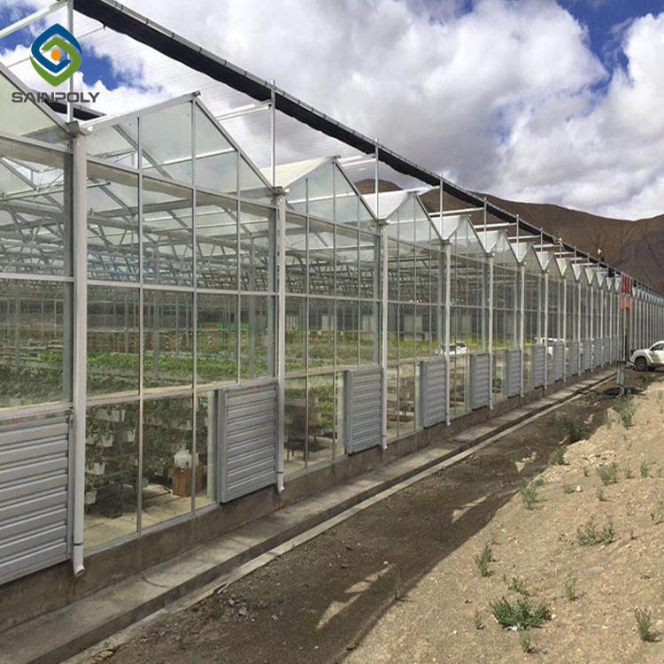 Sainpoly Large Size Glass Multi-Span Greenhouse High Quality Affordable Hot Selling China Wholesale Agricultural Greenhouses