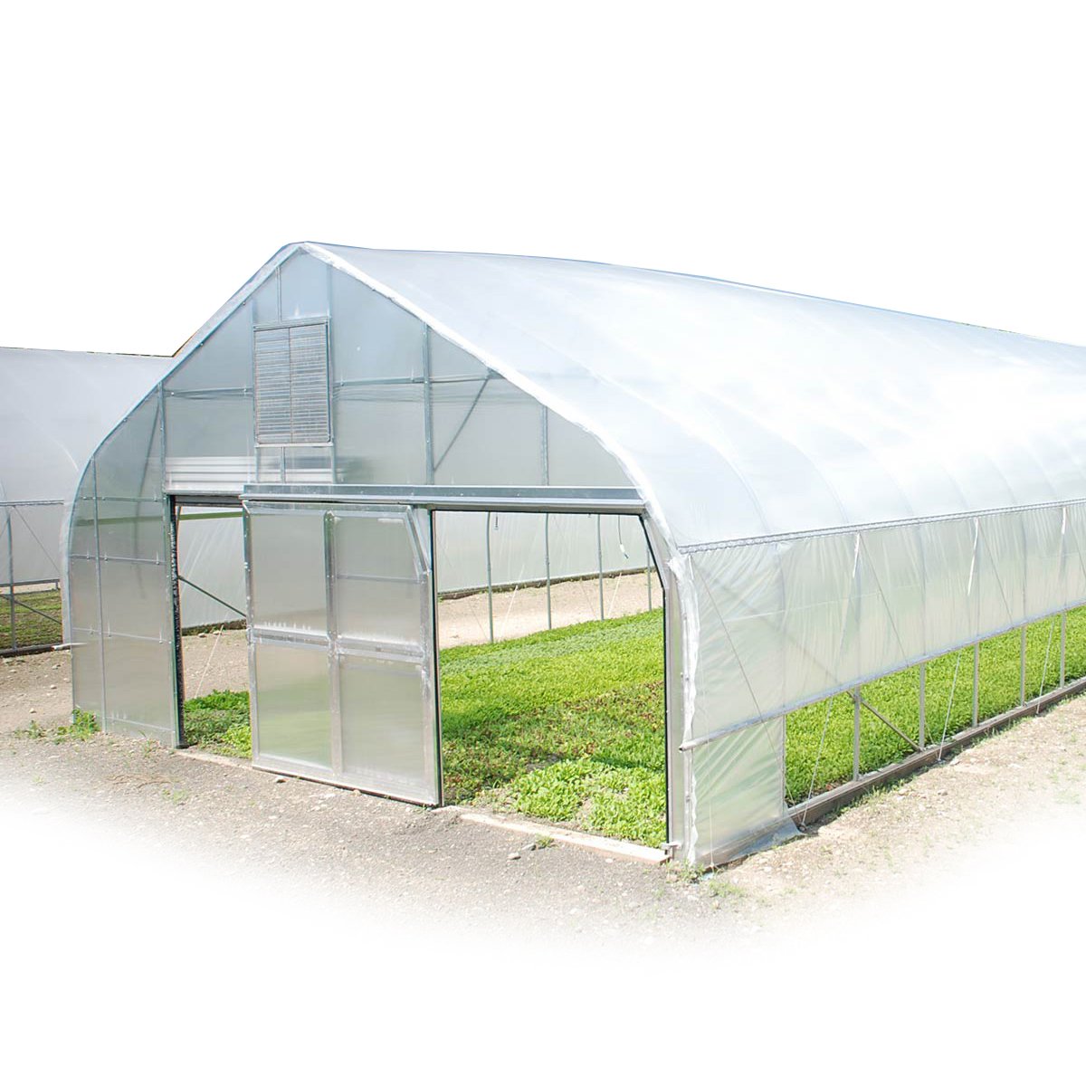 One one The Cheapest and Easily Installed Multi Span Agricultural/ Commercial Green House Hydrophonic Greenhouse