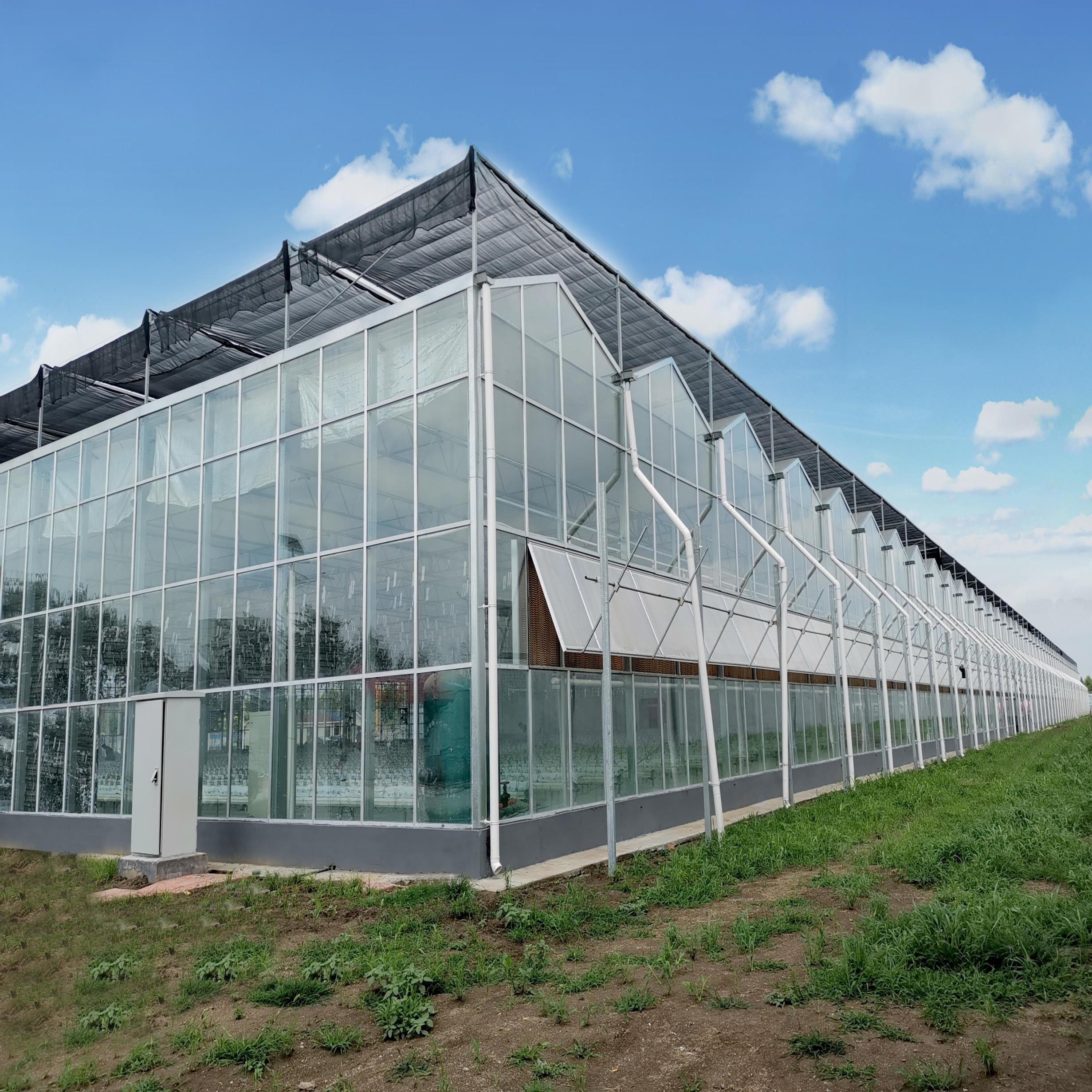 Multi-span Agricultural Greenhouses Glass Green House With Vertical Farm Grow Table