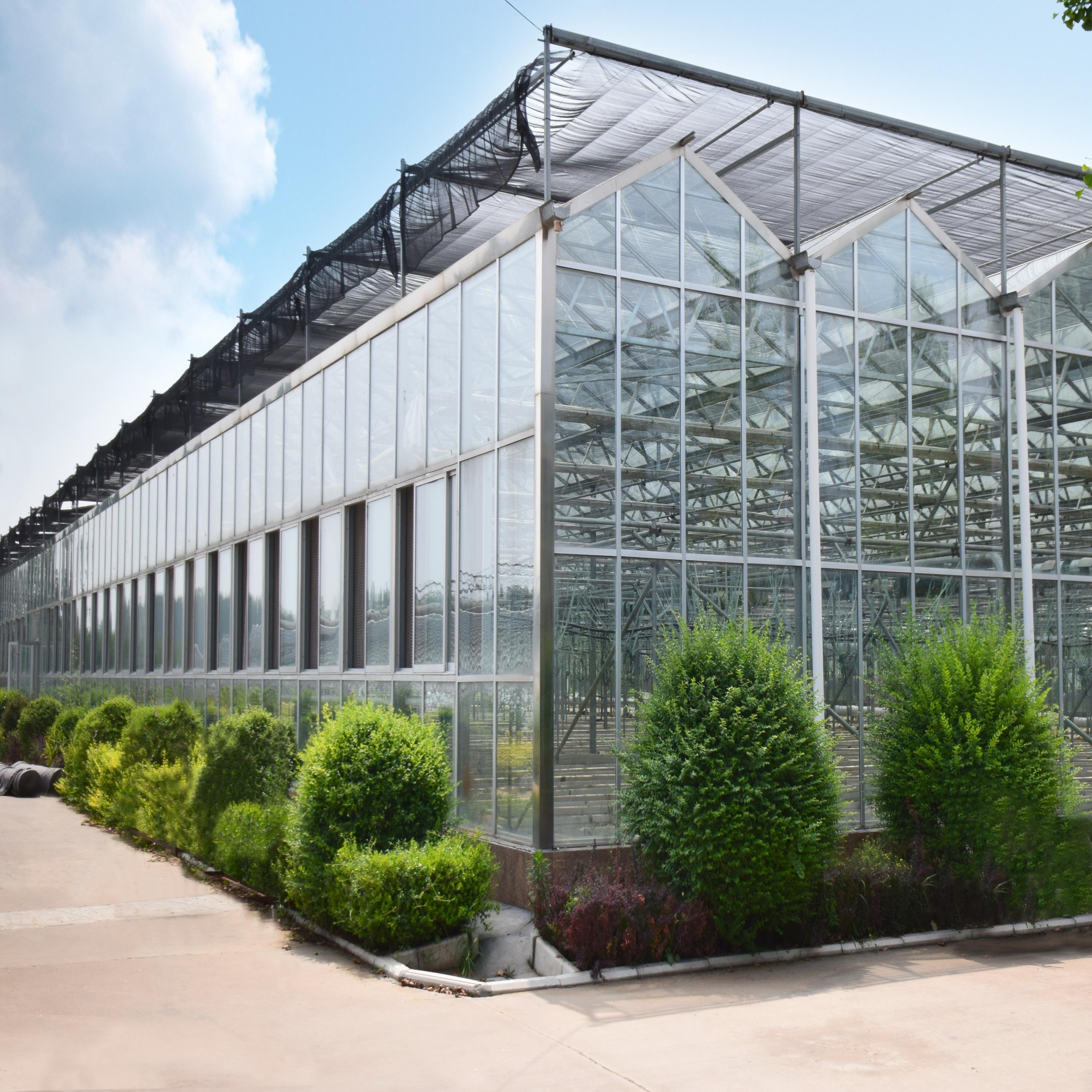 Multi-span Agricultural Greenhouses Glass Green House With Vertical Farm Grow Table