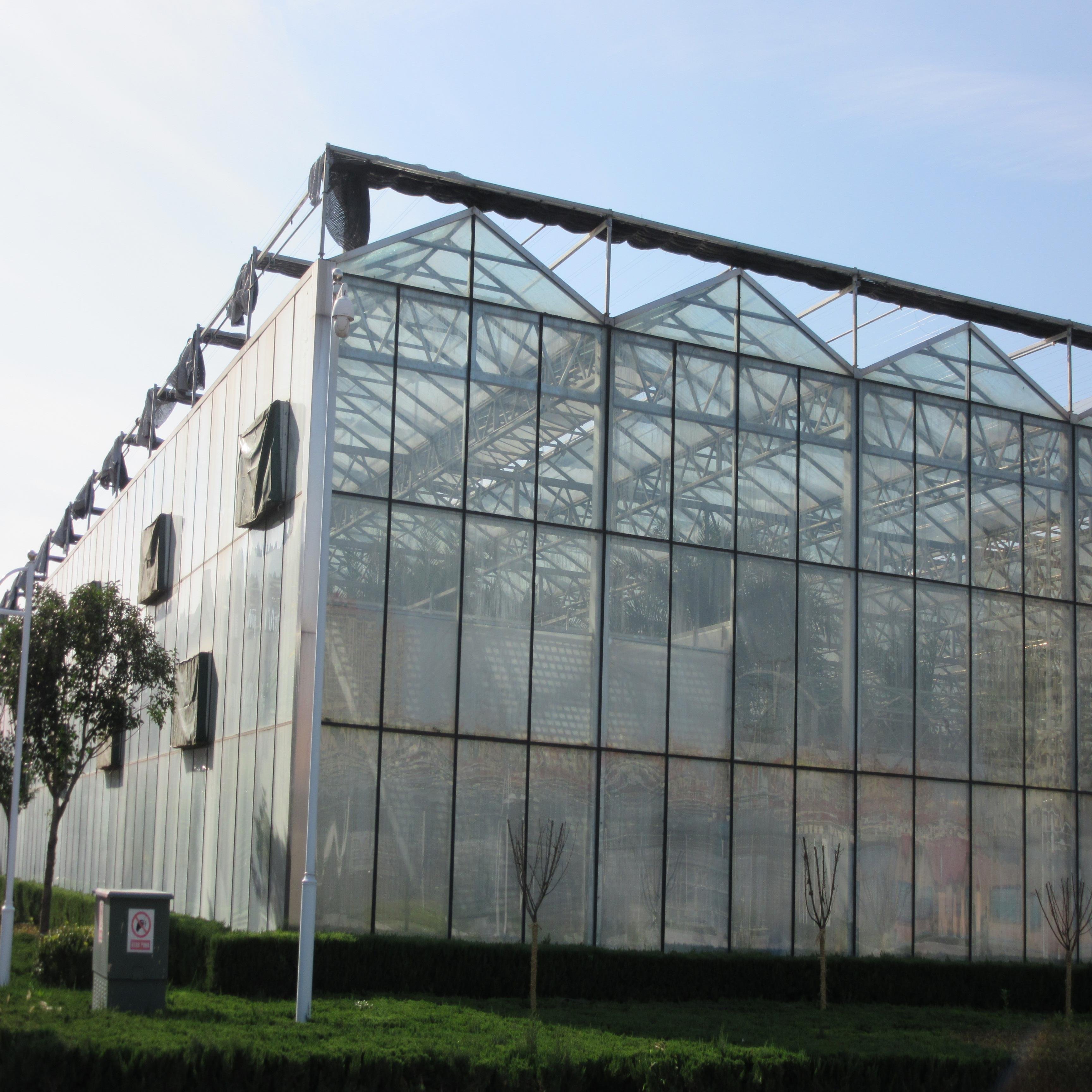 Multi-span Agricultural Greenhouses Glass Green House With Vertical Farm Grow Table