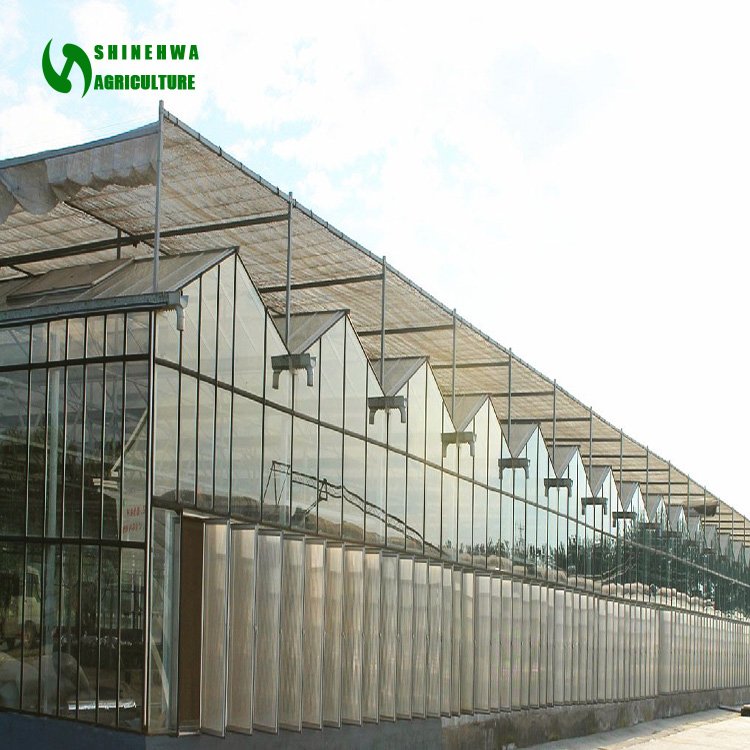 Multi-span Agricultural Greenhouses Glass Green House With Vertical Farm Grow Table