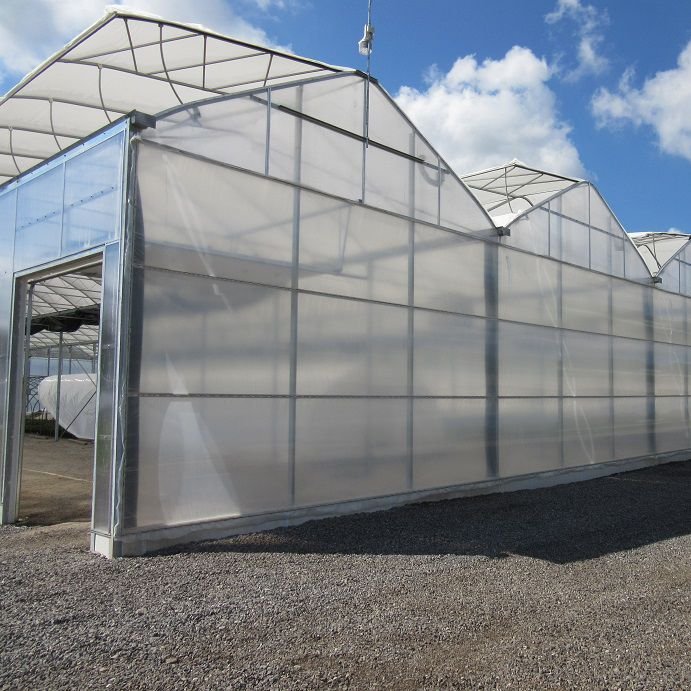 One one multi span film green house greenhouse structure commercial used greenhouse frames for sale