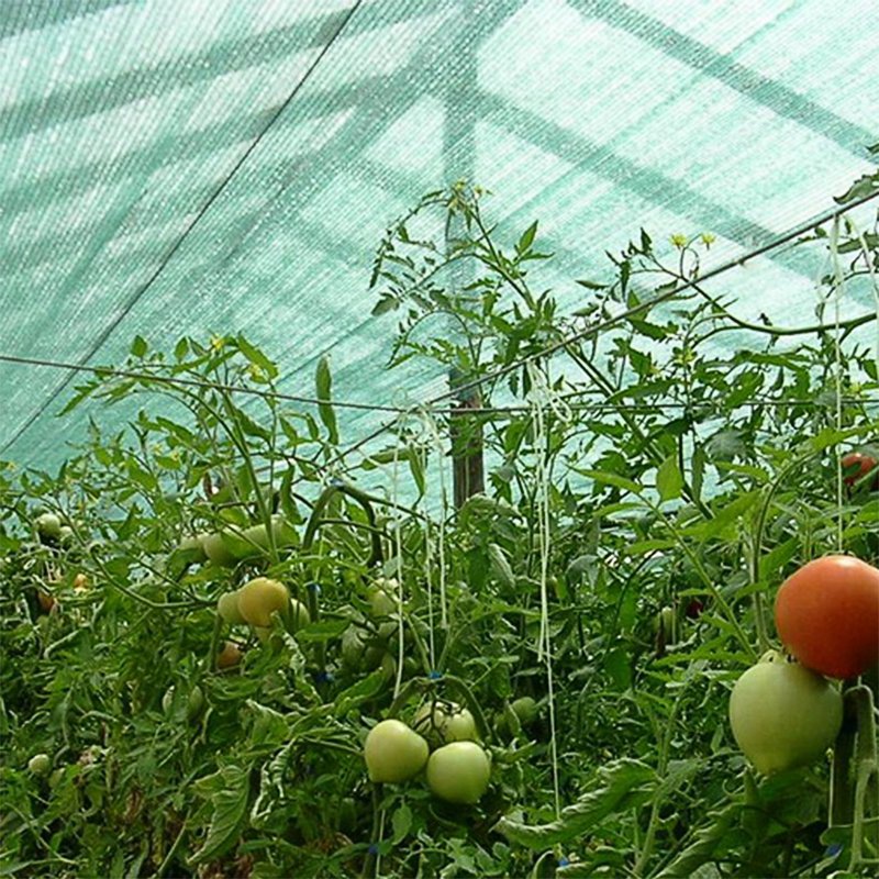 China Manufacture Agricultural Greenhouse Sun Shade Mesh Fabric