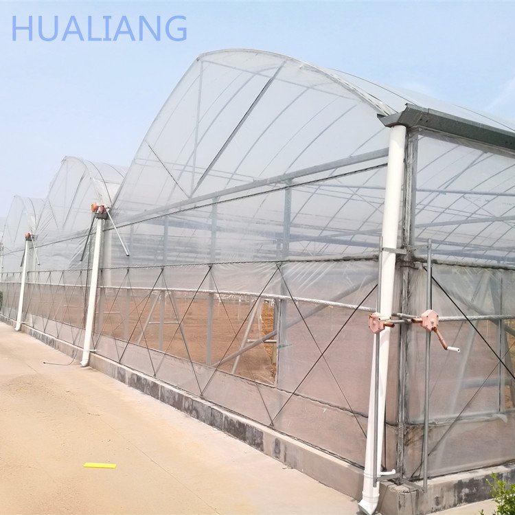 High tunnel multi span greenhouse with roll up motor for ventilation