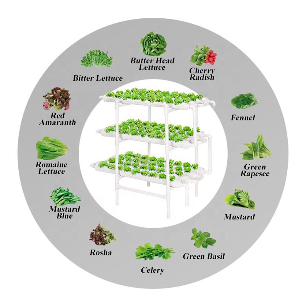 Hot sale Greenhouse Home Planting Smart Garden Indoor Automatic Hydroponic System