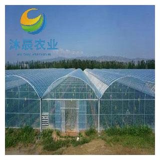 China Factory Large Size High Tunnel Agricultural Greenhouse for Tomato