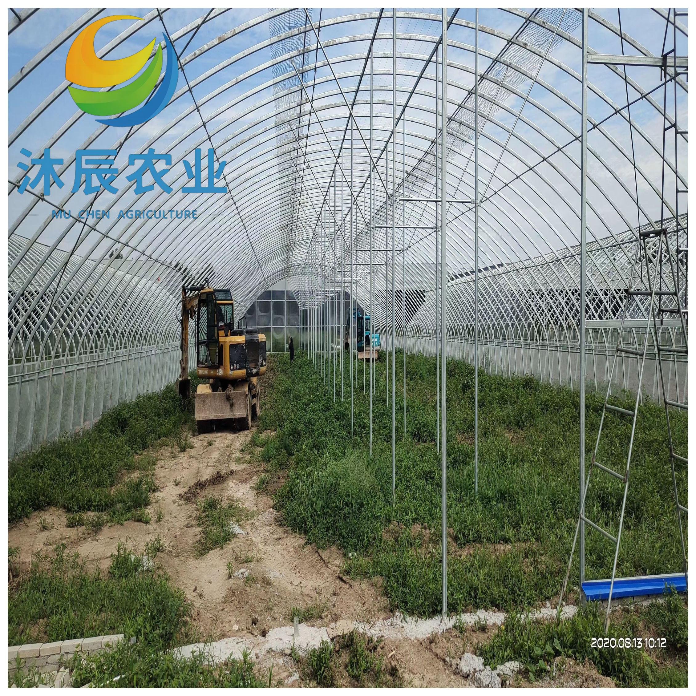 China Factory Large Size High Tunnel Agricultural Greenhouse for Tomato