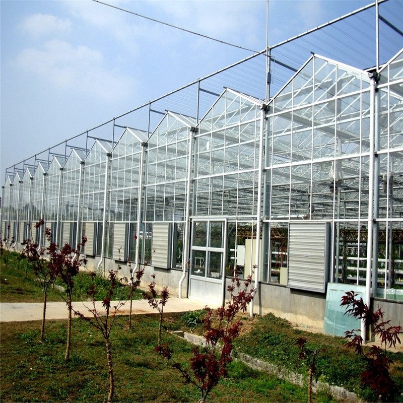 Multi Span Venlo Glass Greenhouse with External Shading System Intelligent agriculture Vertical Farming Hydroponic System